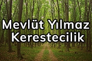 Mevlüt Yılmaz Kerestecilik  