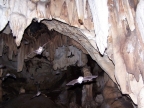 Burdur Yarasa Mağarası